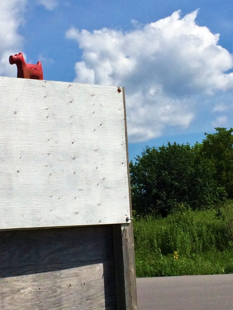 Red Dog