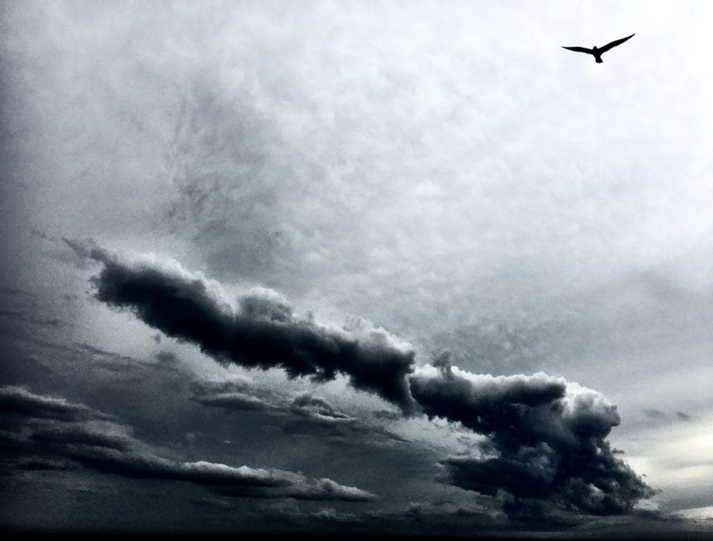 Solo Flight