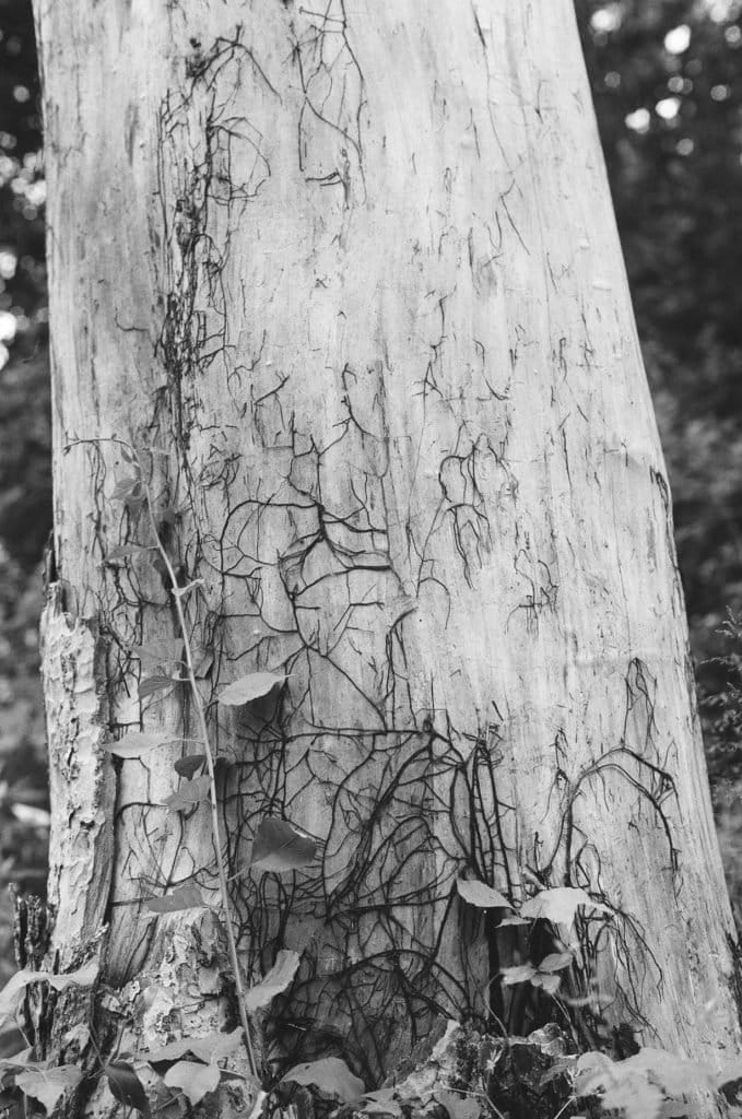 Cracks Fissures and Even Breaks